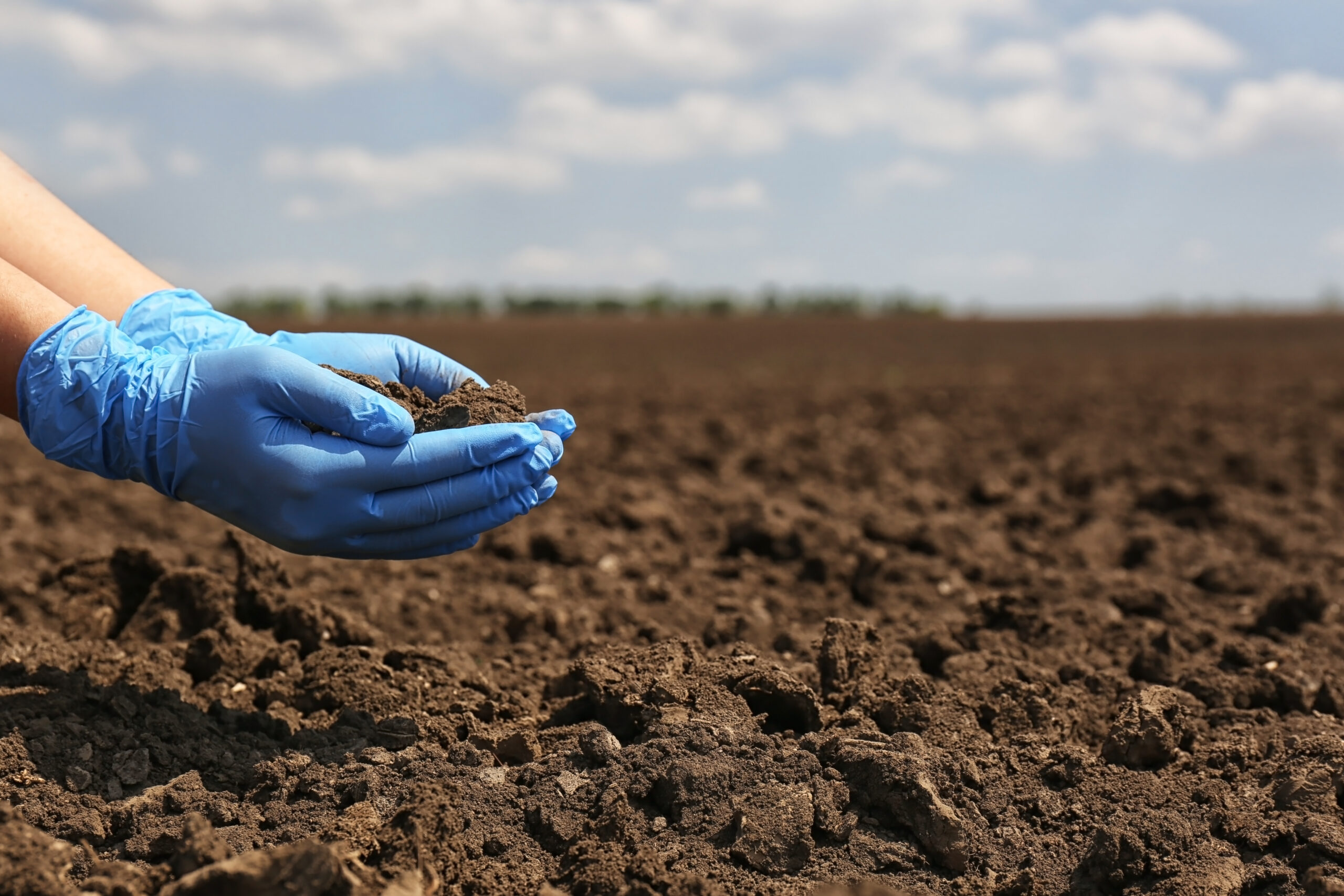 Leading the Way: SW Sustainability Solutions’ 2024 Sustainability Report