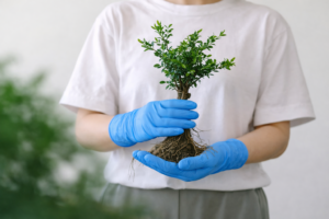 SW Hero Image Royal Blue Glove holding Tree Sapling